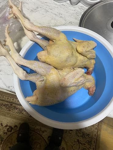 Kənd toyuğu Chicken Bütöv