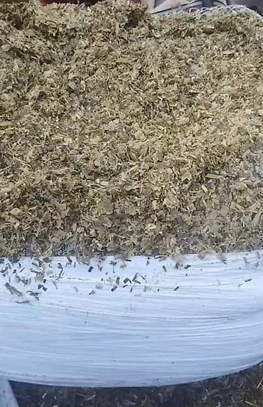 Qarğidali silosu (400-450kq ) qiyməti 60 manat. Ünvana çatdırılma var