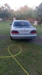 Mercedes-Benz 240: 2.4 l | 1998 il Sedan