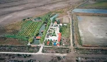 sonalı göl: 60 hektar sahəsi olan gözəl bir məkan satışa çıxarıldı. Sahədə geniş — 1