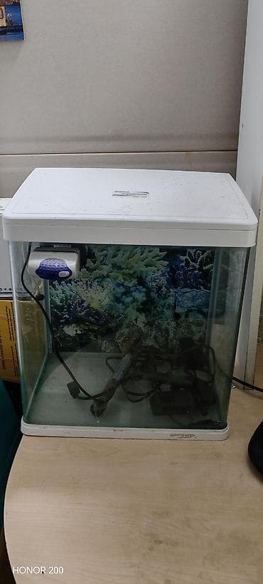 baliqlar: Akvaryum dəsti – tam komplekt Tərkib: - Şüşə akvaryum (üst qapaqla — 6