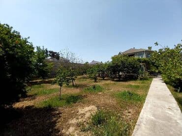 təcili ev: Novxanı 7 otaqlı, 230 kv. m, Təmirsiz — 9