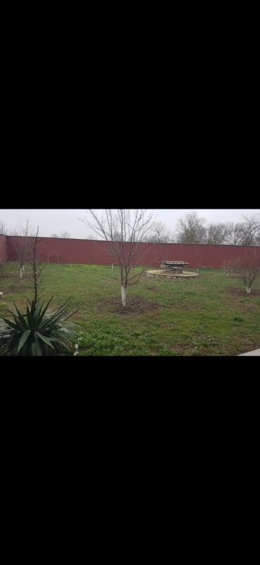 şuşada kiraye evler: 7 otaqlı, 160 kv. m, Kredit var, Yeni təmirli — 13