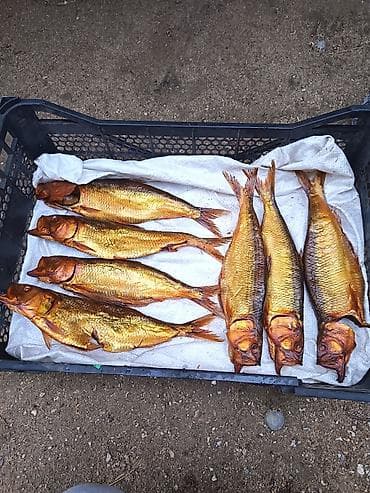 mələk tortu: Məhsul: Tütsülənmiş balıq Təsvir: - Qızılı rəngli, bütöv şəkildə — 2