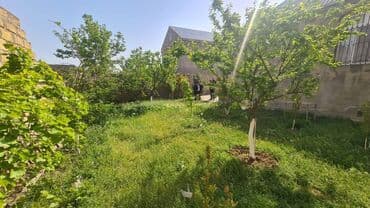 Mehdiabad 3 otaqlı, 171 kv. m, Orta təmir