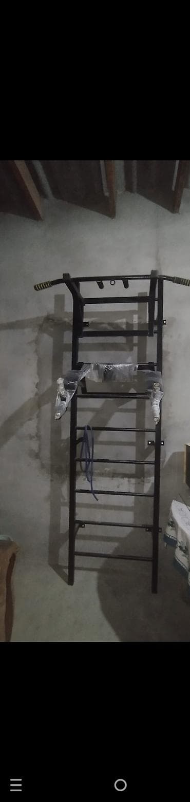 Evdə məşq üçün çoxfunksiyalı divar turniki və İsveç nərdivanı