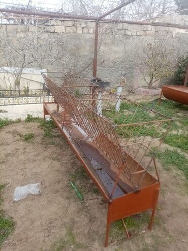 Otaq bitkiləri: 220₼-dir.Uzunluğu 2m75sm-dir.Eni 50 sm — 2