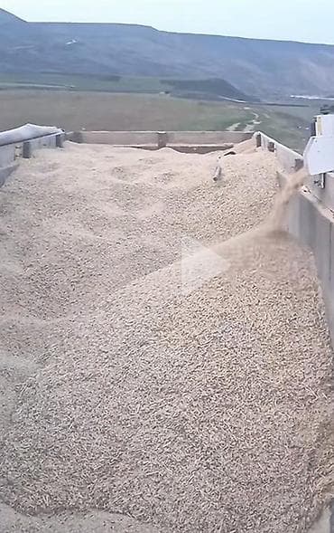 Məhsul: Taxıl yükləmə-boşaltma sistemi (şnek tipli daşıyıcı) Təsvir