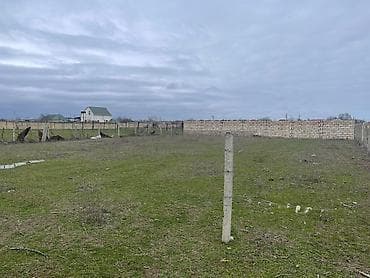 6 sot, Tikinti, Mülkiyyətçi, Kupça (Çıxarış)