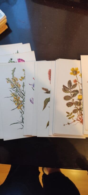 1 dollar neçe manatdir: Коллекционный товар. Смотрите фото. Открытки рецептов. каждая пачка по — 15