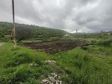 10 sot, Biznes üçün, Mülkiyyətçi, Kupça (Çıxarış)