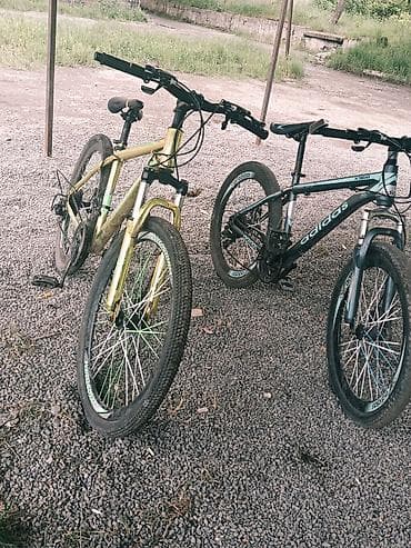 elektrik velosipedler: Heç bir pirablemi yoxdur razılaşmaq olar — 1