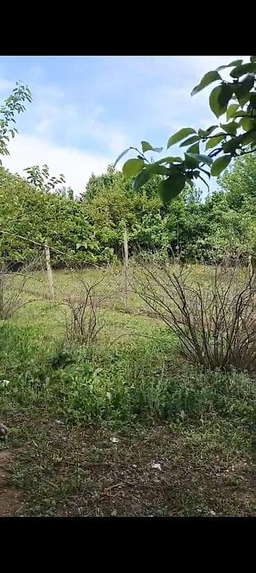 gencede heyet evi satilir: Gence seher Samux rayon ziyadli kend mektebin arxasi. Mehle evi 8 — 9