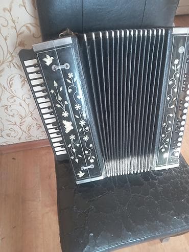 qarmon: Akustik Akkordeon, Yeni — 1
