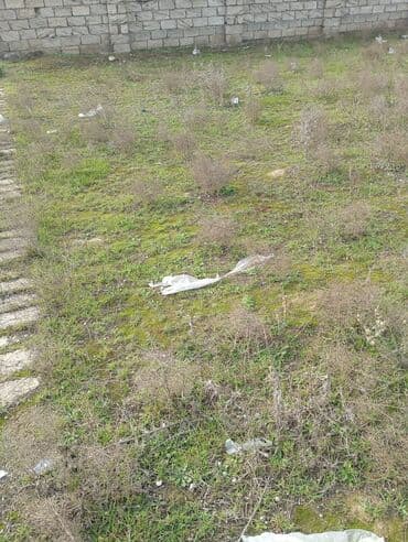 huseynbala eliyev kucesi: Tikinti — 4