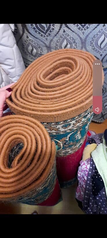 Bitkilər: Xalça — 1