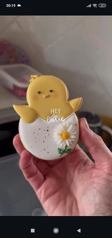 Ləpələr: Şəkərli bəzəkli zəncəfil/ləziz peçenye setləri – tematik və — 4