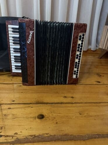 akkardion: Akustik Akkordeon, Yeni — 3