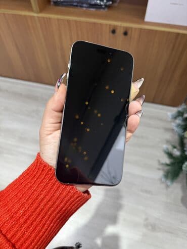 Hoffmann: IPhone 15 Pro Max, 256 GB, Natural Titanium, Zəmanət, Face ID — 2