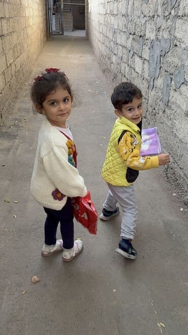 it cinsləri: Balaca it balası - Cins/type: qarışıq (şirin balaca küçüyə bənzər) - — 4