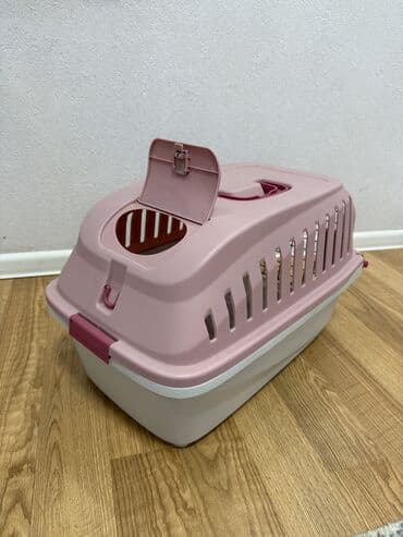 собака бу купить: Təzədən seçilmir
Çünki istifadə olunmayıb
Təcili satılır — 2