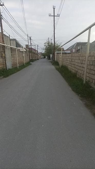 Tikinti