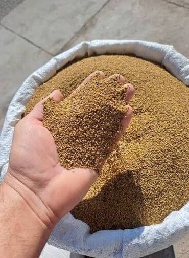 sulu aboyun qiyməti: Toxumlar — 1