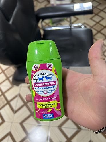 pişik üçün daraq: Britan, Yaxşı əllərə — 5