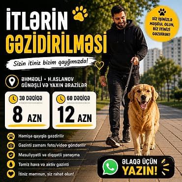 Digər xidmətlər: İtlərin gəzdirilməsi xidməti Sizin itinizi etibarlı şəkildə, qayğı — 1
