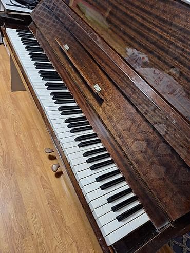 Musiqi alətləri: Akustik upright pianino - Korpus: tünd qəhvəyi, parlaq taxta örtük — 1