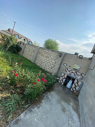 suraxani torpaq satilir: 8 sot, Tikinti, Kupça (Çıxarış) — 5