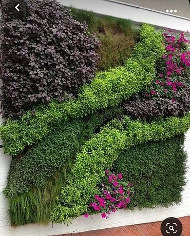 su ceni gence: Ev ofis restoran ve s yerlerin suni gul dekor iwleri 1 kv - 130 azn — 3