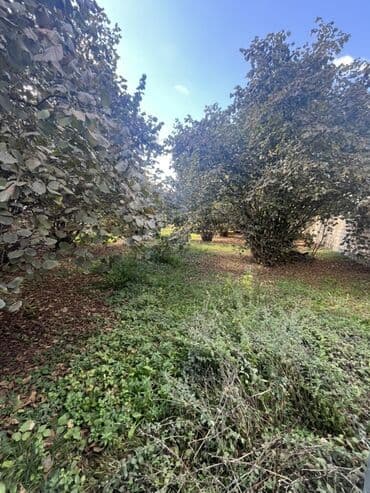 fatmayı torpaq: 10 sot, Mülkiyyətçi, Kupça (Çıxarış) — 2