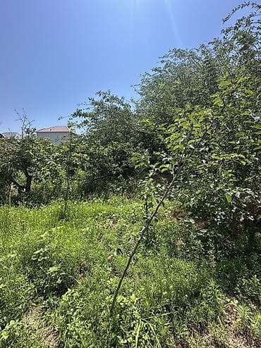 4 göz satışı: 5 sot, Tikinti, Mülkiyyətçi, Kupça (Çıxarış), Texniki pasport — 8