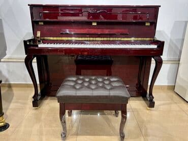 klarnet satışı: "Piano Gallery" Sizlərə tanınmış və lider brendlərdən olan akustik — 1