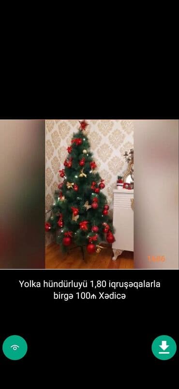 xurma ağacı: Yolkalar şaxda baba sekillerde qiymət məlumat qeyd olunub unvan Gence — 21