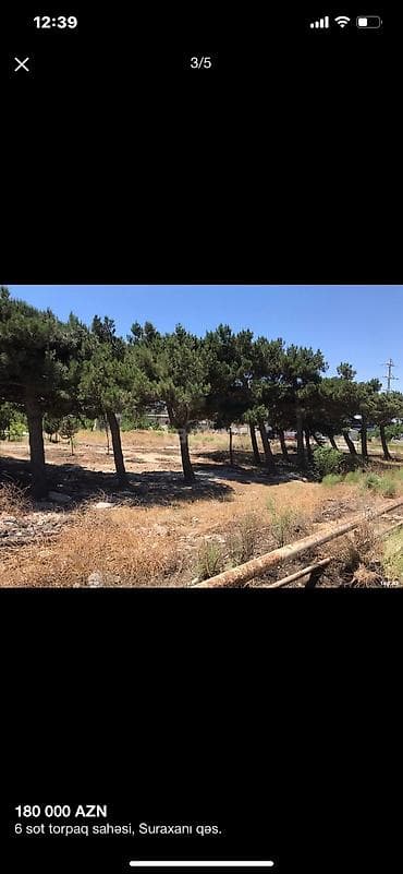 bine torpaq satisi: 5 sot — 2