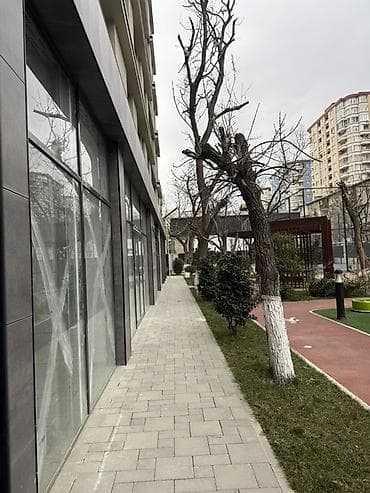 kiraye otel: Whitestone Towers kompleksində kommersiya sahəsi - Müasir premium — 3
