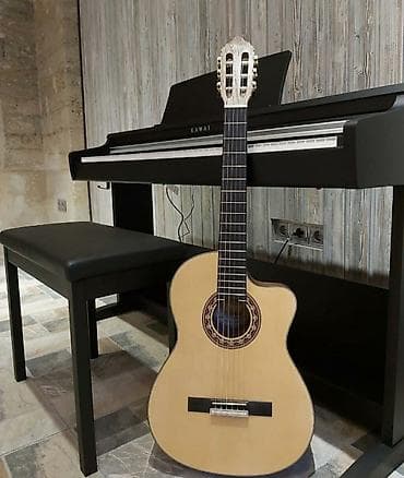 gitara mahnilari turk: Valencia VC304CE — 1
