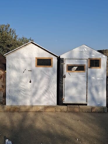 электрическая машинка для стрижки овец: Quş damılar satılır — 4