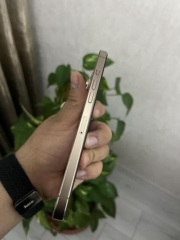 iphone 13 pro max qiymet: IPhone 16 Pro Max, 512 GB, Qızılı, Face ID — 4