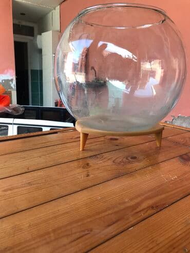 тап аз кошки: 1ədədi ünvan ələt qəsəbəsi — 4