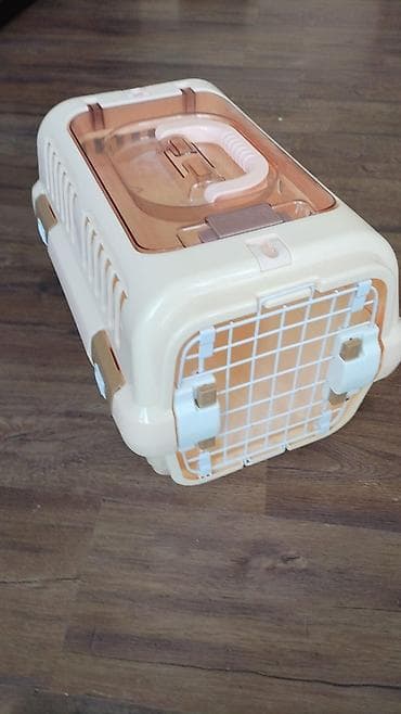 pekines itləri: Pekines — 4