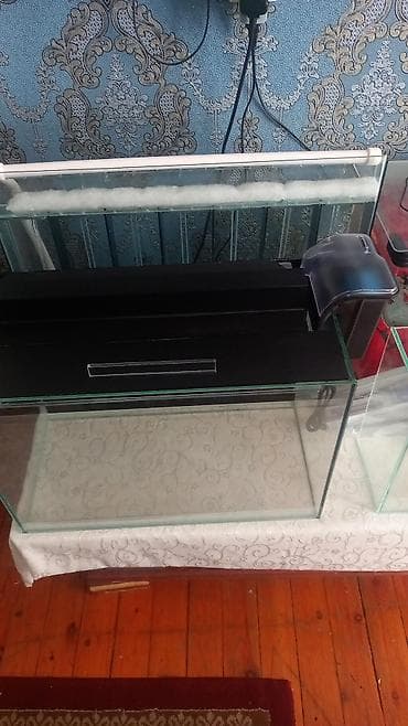gence akvarium: Salam isdənilən ölçüdə akvarium yığıram nömrədə vhatsap var buyurun — 3