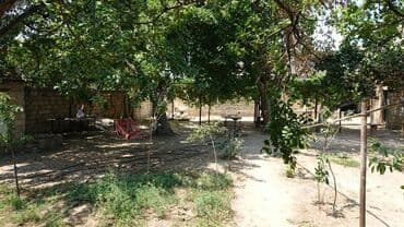 dübəndi torpaq: 10 sot, Tikinti, Makler, Kupça (Çıxarış) — 4