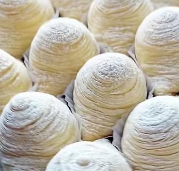 10 reqemli tort sekilleri: Dəyirmi formalı şəkərbura, üzərində incə naxışlar və yüngül parıltı — 10