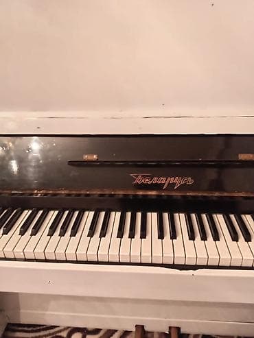 Velosiped ehtiyyat hissələri: Piano, Belarus, Akustik, İşlənmiş — 3