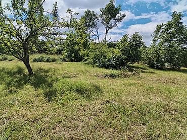 bilgehde torpaq: 7 sot, Tikinti, Maklerlər narahat etməsin, Kupça (Çıxarış) — 3