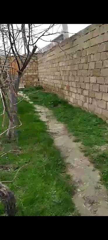 80 kv. m, 2 otaqlı, Kombi, Qaz, İşıq