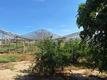xirdalanda satilan torpaqlar: 500 sot, Kənd təsərrüfatı, Mülkiyyətçi, Müqavilə — 8